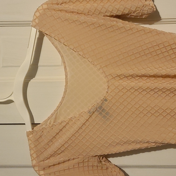 Forever 21 Velvet Bodysuit with Lowcut back - Picture 2 of 2